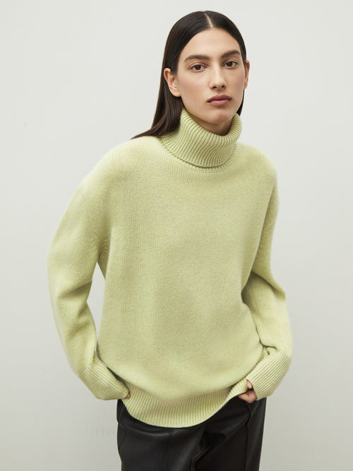 Wool-cashmere turtleneck jumper