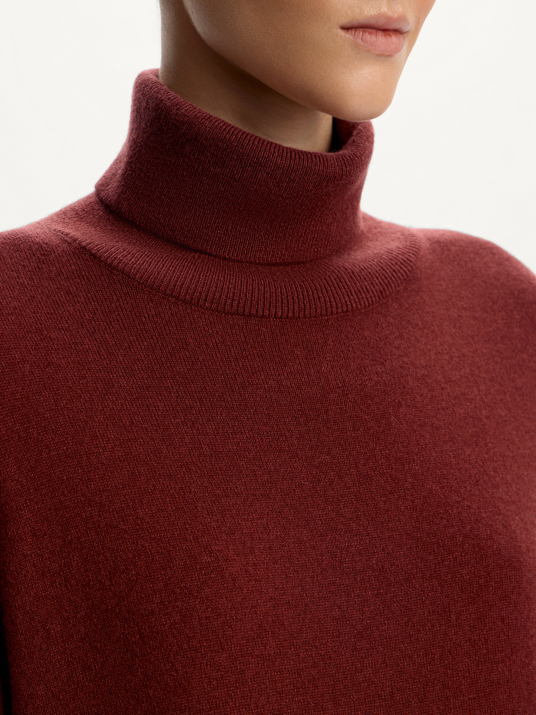 Wool-cashmere turtleneck jumper