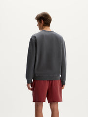 Garment-dyed terry sweatshirt