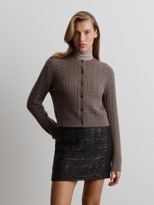 كارديغان راي من الكشمير